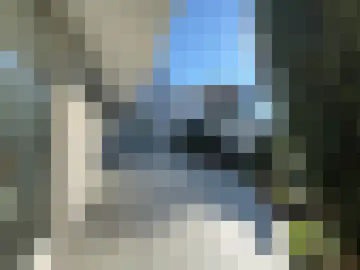 Kijkakkers 21 Maarheeze thumbnail 52