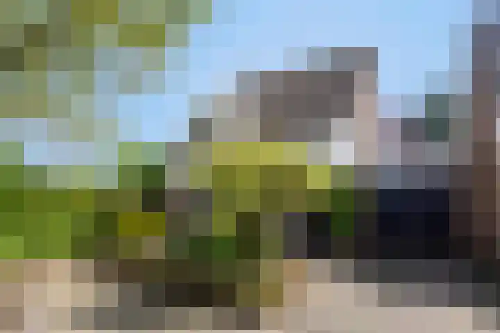 Kijkakkers 60 in Maarheeze