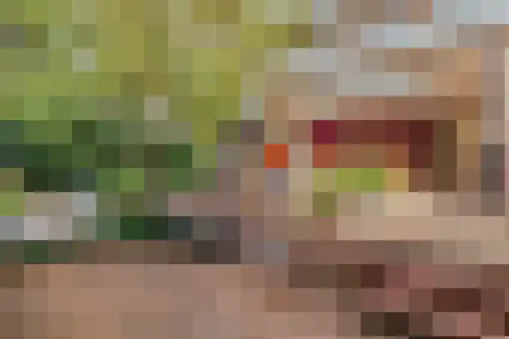 Kijkduinstraat 87 2 Amsterdam thumbnail 11