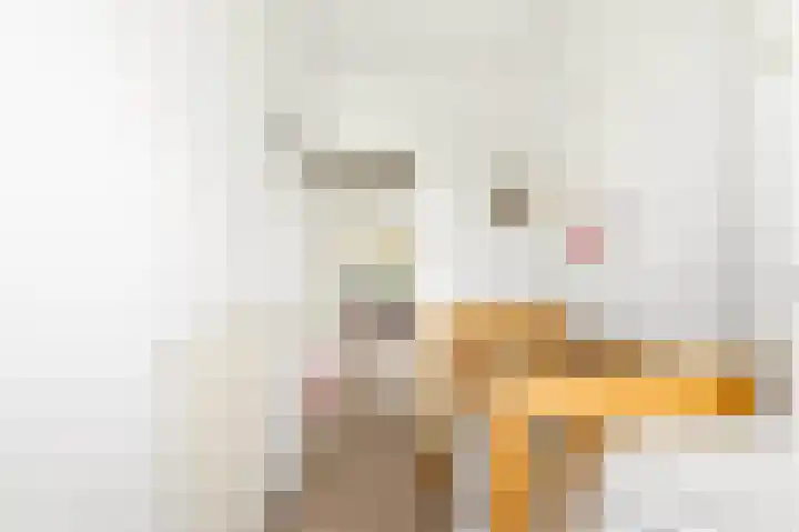 Kijkduinstraat 87 2 Amsterdam thumbnail 28