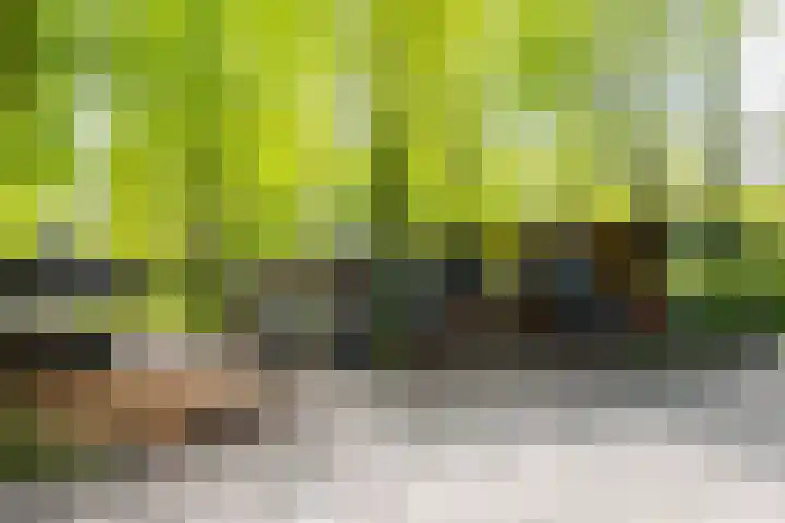 Kijkduinstraat 87 2 Amsterdam thumbnail 36