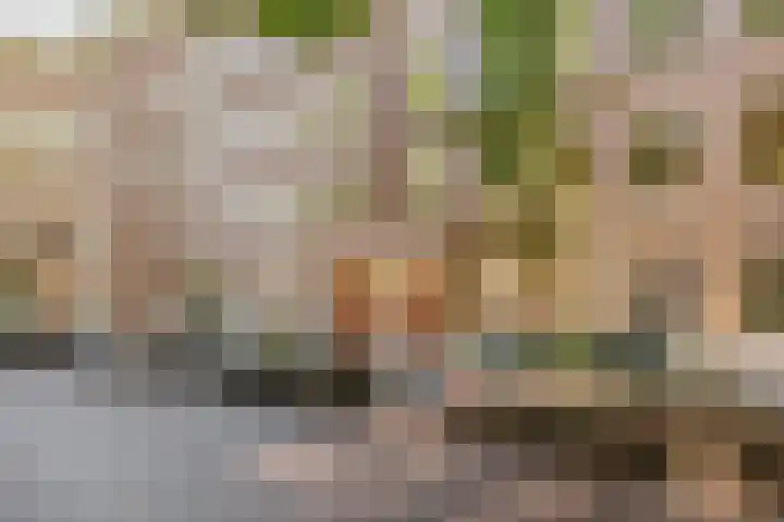 Kijkduinstraat 87 2 Amsterdam thumbnail 36