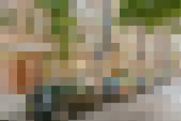 Kijkduinstraat 87 2 Amsterdam thumbnail 37
