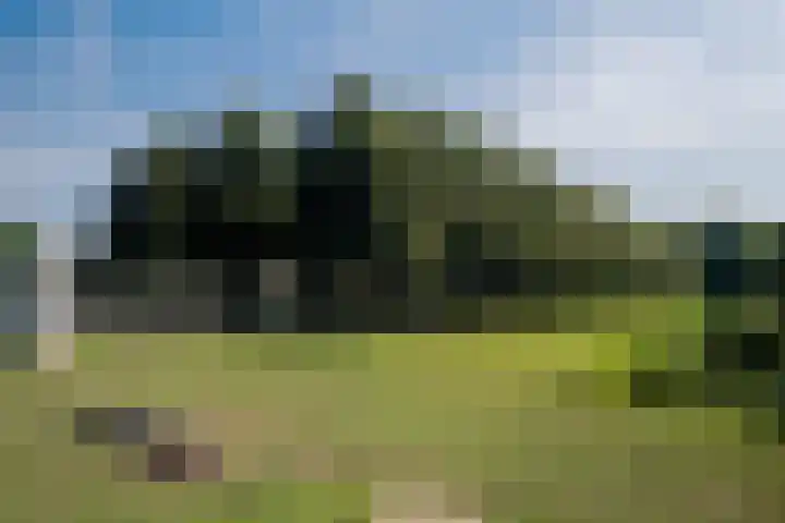 Kijkduinstraat 87 2 Amsterdam thumbnail 38