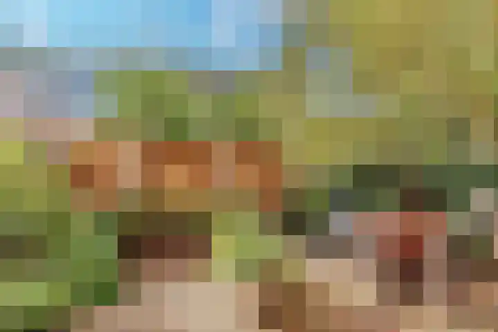 Kijkduinstraat 87 2 Amsterdam thumbnail 4