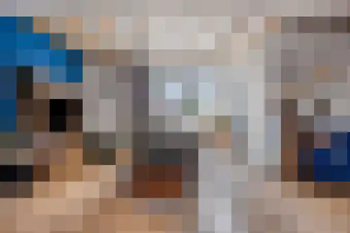 Kijkuit 24 Tiel thumbnail 11