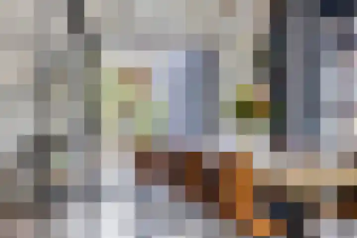 Kijkuit 24 Tiel thumbnail 15