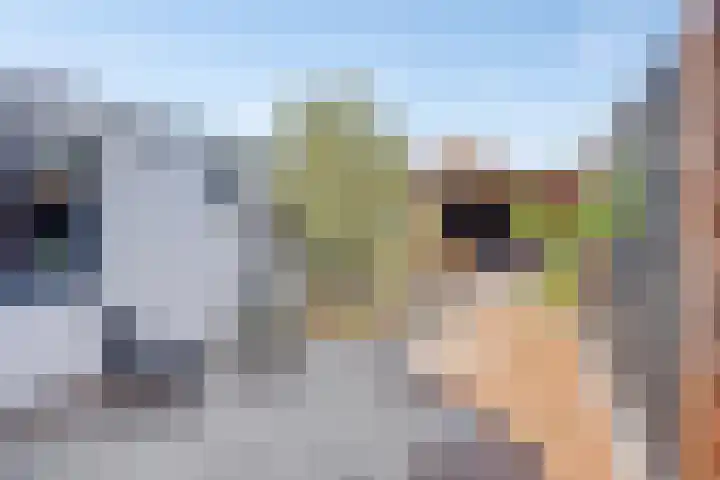Kijkuit 24 Tiel thumbnail 37