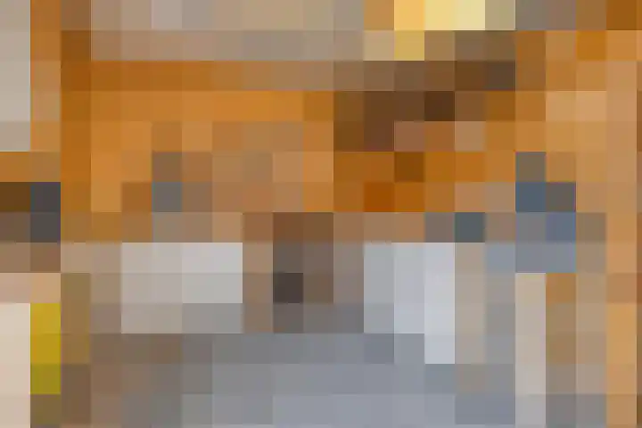 Kijkuit 24 Tiel thumbnail 41