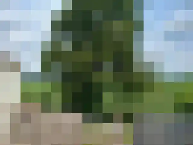 Kijkuit 30 Axel thumbnail 20