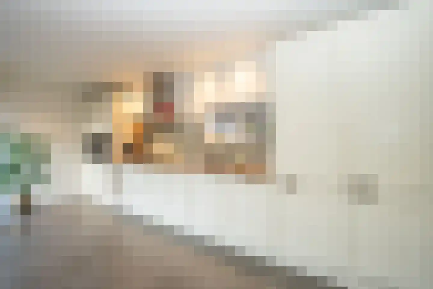 Kikkertstraat 17 De Cocksdorp thumbnail 17