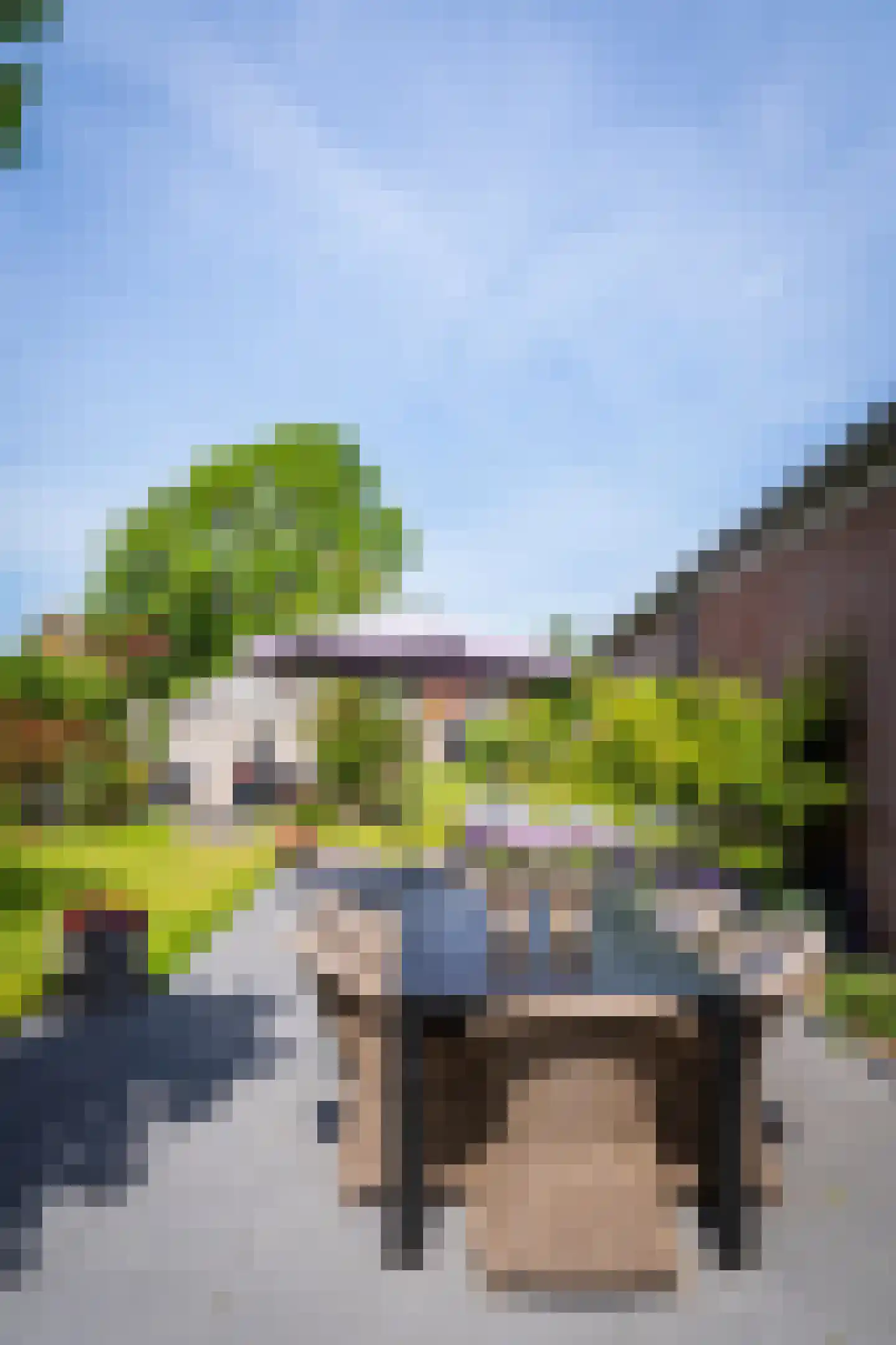 Kikkertstraat 17 De Cocksdorp thumbnail 81