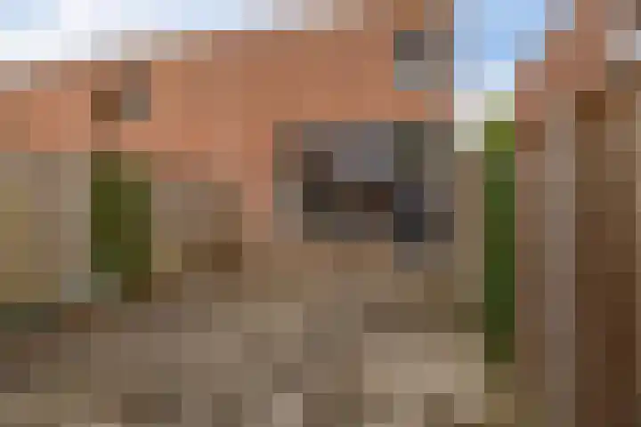 Kil 22 Rotterdam thumbnail 39
