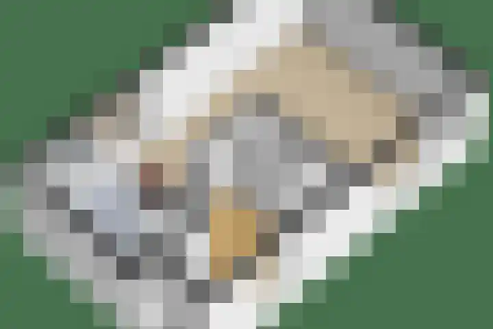 Kil 22 Rotterdam thumbnail 45