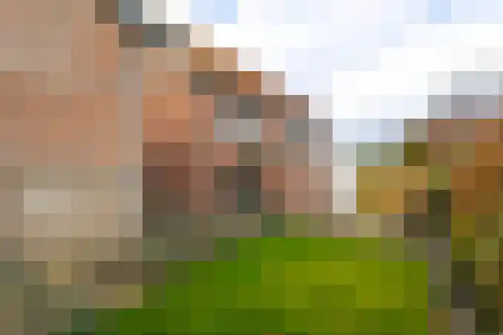 Kildijk 40 Nieuwendijk thumbnail 37