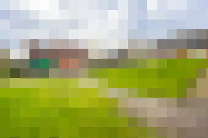 Kildijk 40 Nieuwendijk thumbnail 38