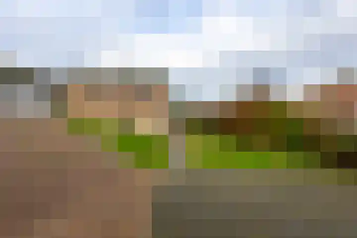 Kildijk 40 Nieuwendijk thumbnail 40