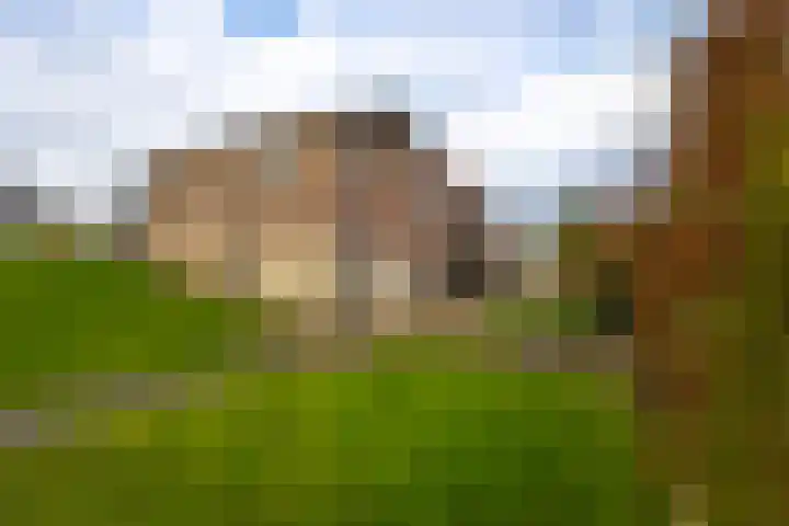 Kildijk 40 Nieuwendijk thumbnail 41
