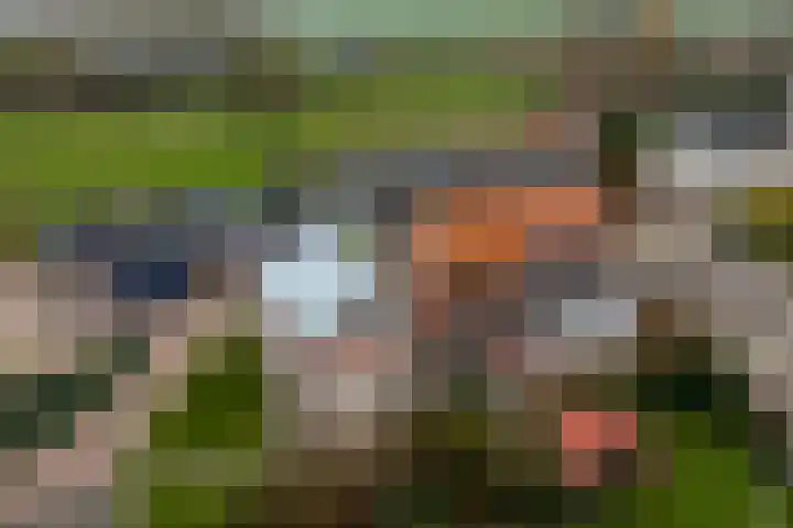 Kildijk 40 Nieuwendijk thumbnail 43