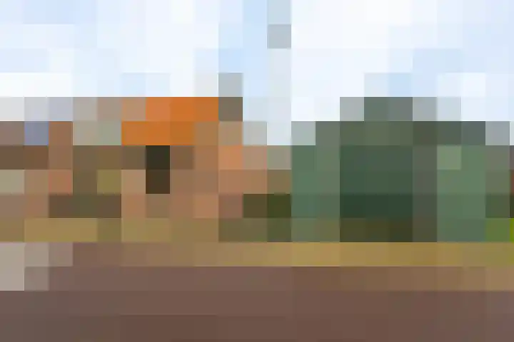 Kildijk 40 Nieuwendijk thumbnail 6
