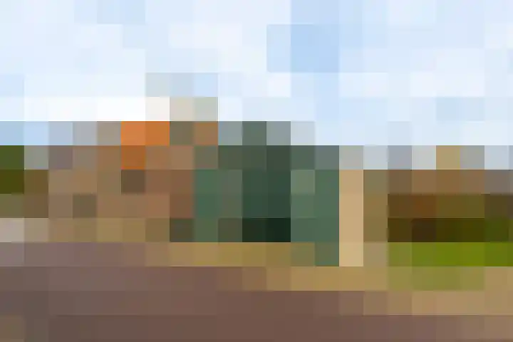 Kildijk 40 Nieuwendijk thumbnail 7