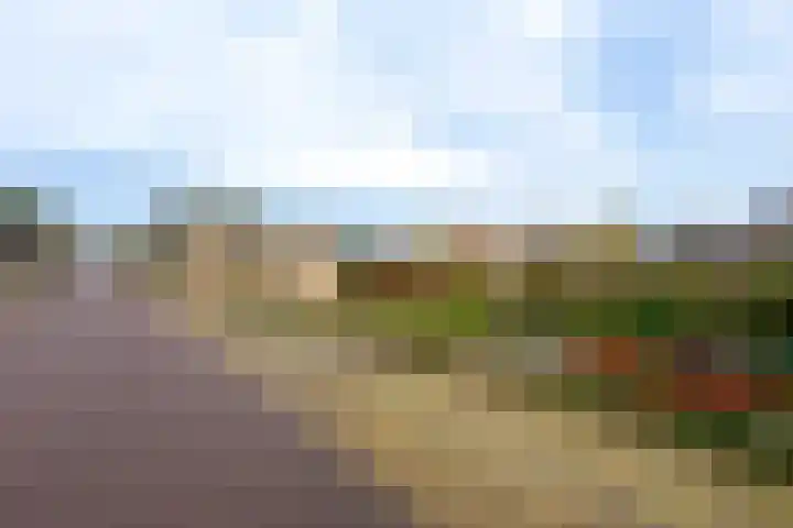 Kildijk 40 Nieuwendijk thumbnail 8