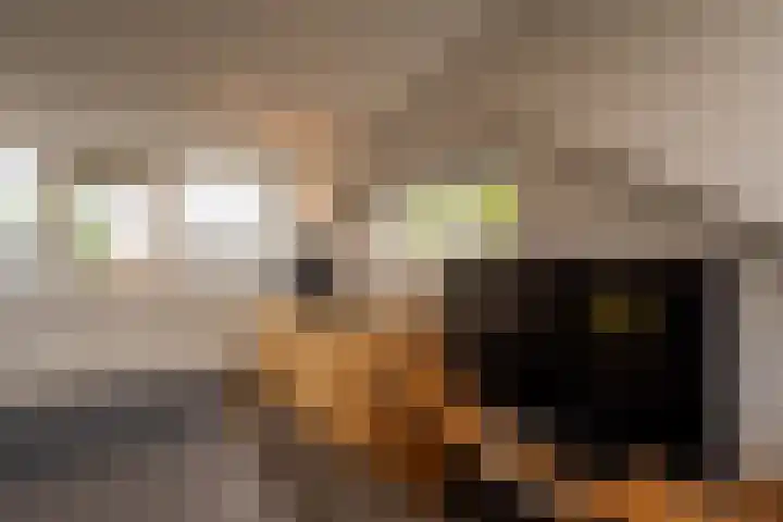 Kilstraat 11 Maasdam thumbnail 41