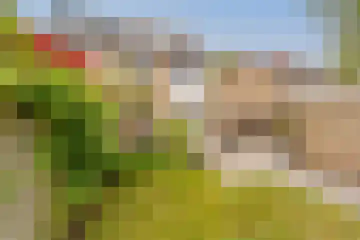 Kilstraat 11 Maasdam thumbnail 44