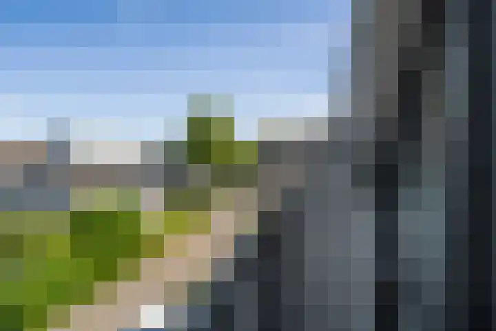 Team foto van Kim Boontjes Makelaar