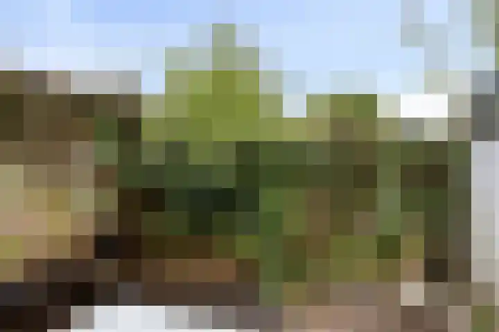 Kinderstraat 3 Zierikzee thumbnail 22