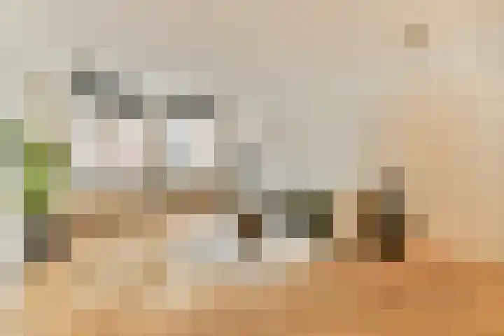 Kinkerstraat 217 A in Amsterdam