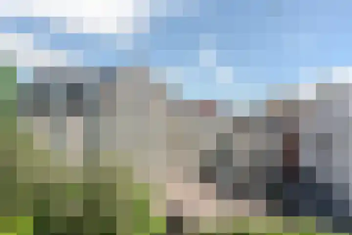 Kinkerstraat 255 D Amsterdam foto 3