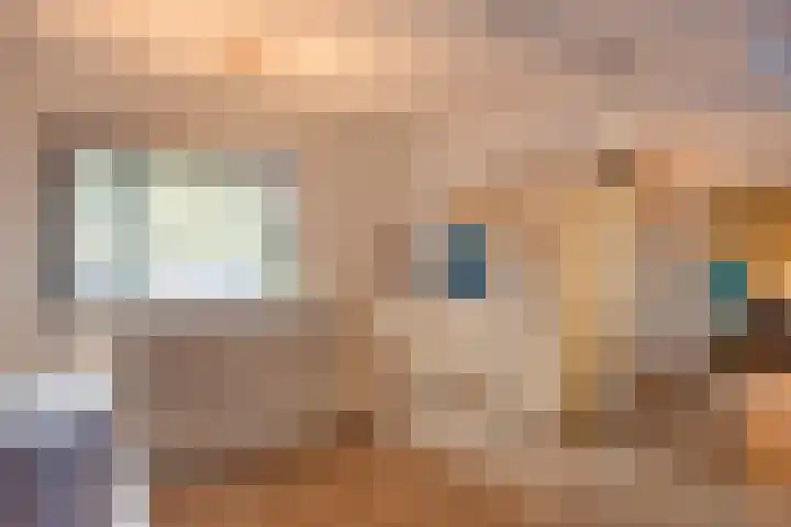 Kinskystraat 30 Stein thumbnail 12