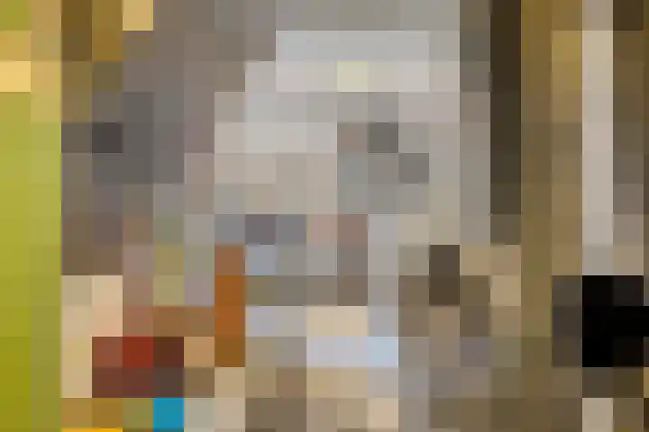 Kipstraat 2 Ossenisse thumbnail 28