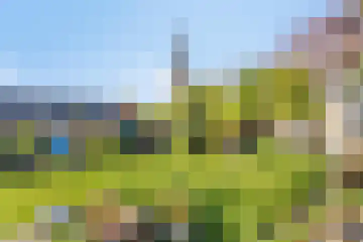 Kipstraat 2 Ossenisse thumbnail 31