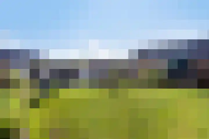 Kipstraat 2 Ossenisse thumbnail 33