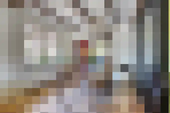 Kipstraat 2 Ossenisse thumbnail 5