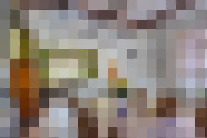 Kipstraat 2 Ossenisse thumbnail 6