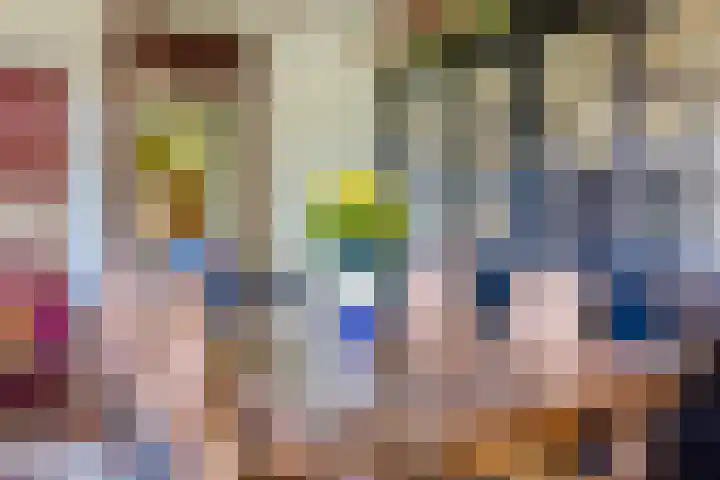 Kipstraat 2 Ossenisse thumbnail 7