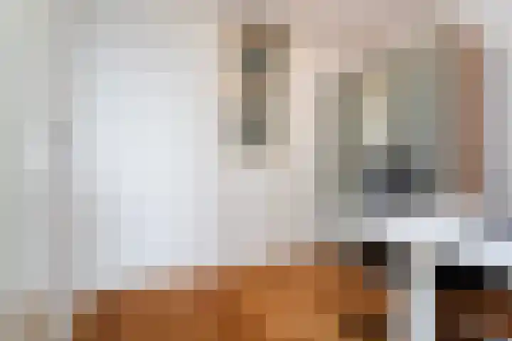 Kipstraat 33 E Rotterdam thumbnail 13