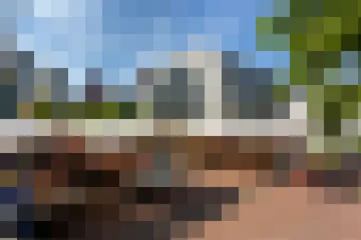 Kipstraat 33 E Rotterdam thumbnail 24