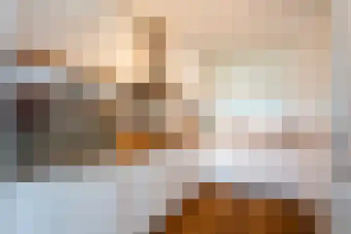 Kipstraat 33 E Rotterdam thumbnail 7