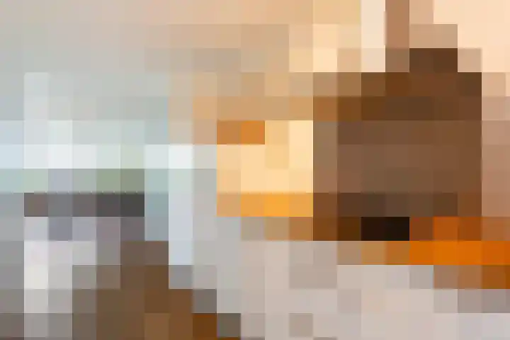 Kipstraat 33 E Rotterdam thumbnail 8