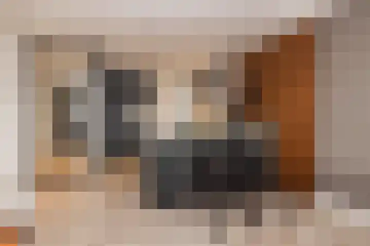 Kistenmakerskade 10 Lisse thumbnail 4