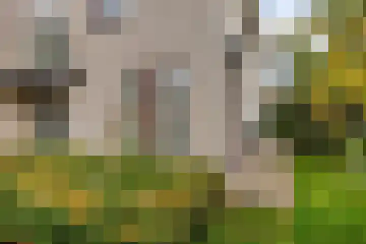 Kiwistraat 20 Almere thumbnail 10