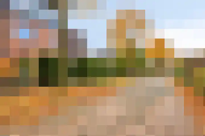 Kiwistraat 20 Almere thumbnail 69