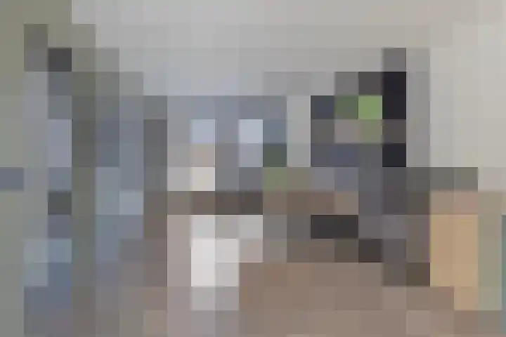 Klabots 12 Best thumbnail 11