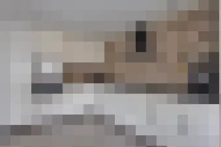 Klabots 12 Best thumbnail 18