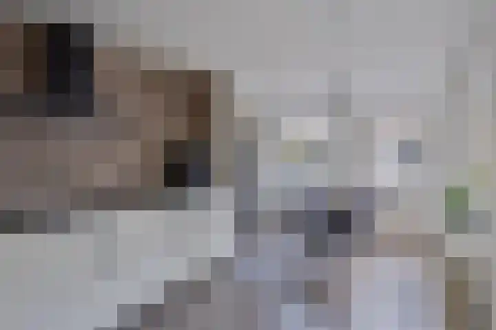 Klabots 12 Best thumbnail 19