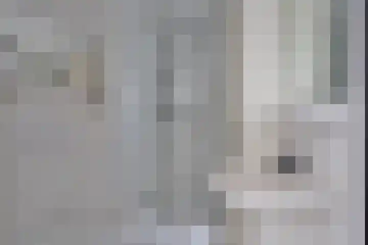 Klabots 12 Best thumbnail 36